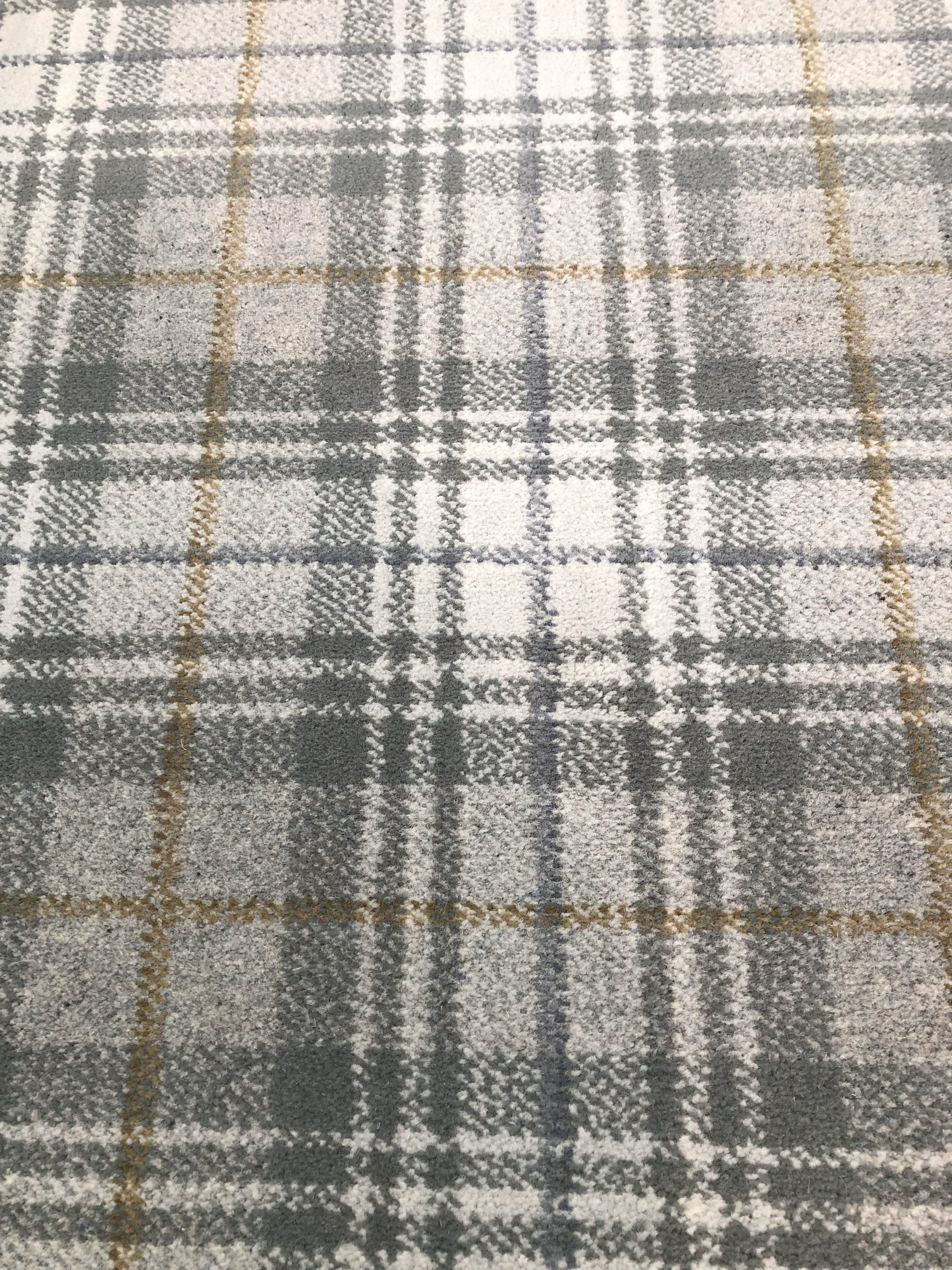 >ULSTER BEAUMONT QUAIL ..........................................SOLD..........................................